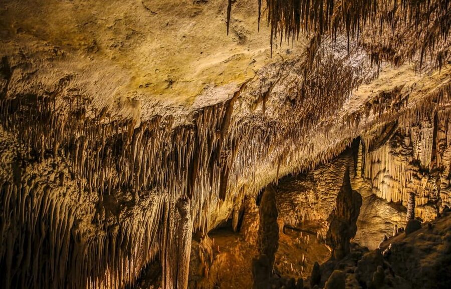 Palma: Caves of Drach Entrance, Music Concert, and Boat Trip - Entering the Caves of Drach without the ticket-office wait