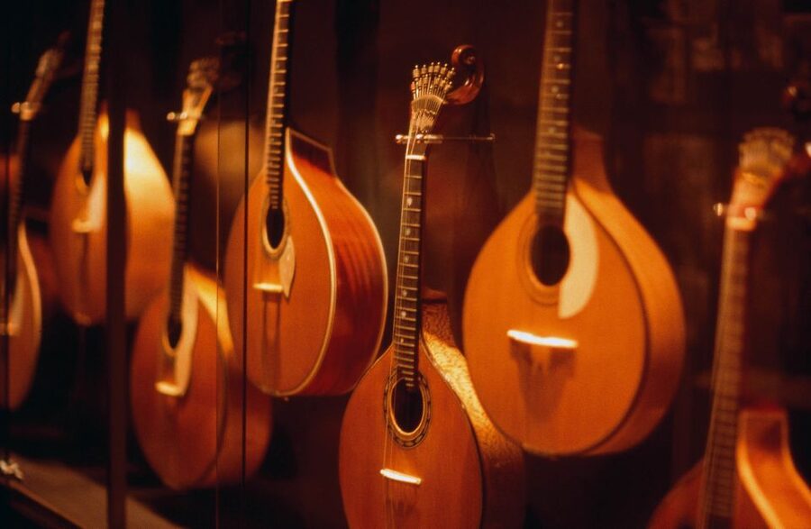 Porto: All-Inclusive Fado Dinner Show and Night Tour - Porto by minivan after dark