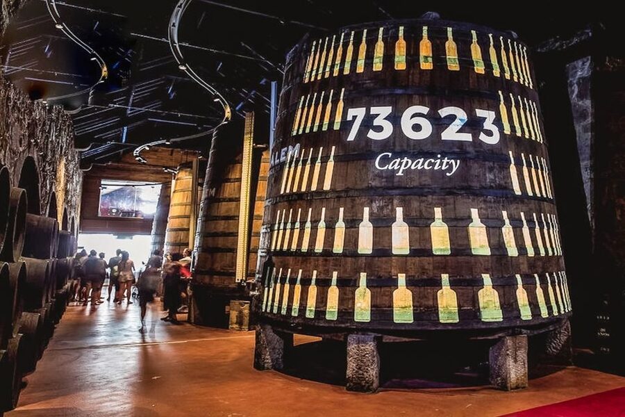 Porto: Cálem Cellar Tour, Fado Show & Wine Tasting - Practical value at $33