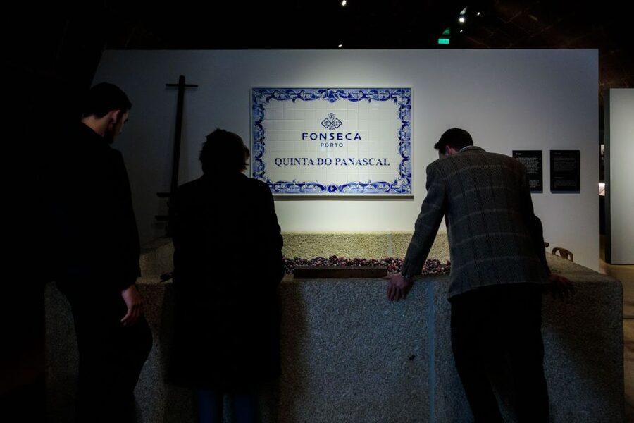 Porto: Fonseca Cellar Tour & Fado Show with Optional Dinner - Who should book this Fonseca experience?