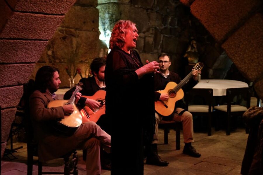 Porto Moonlight Walk & Fado Dinner - Starting at Praça de Gomes Teixeira