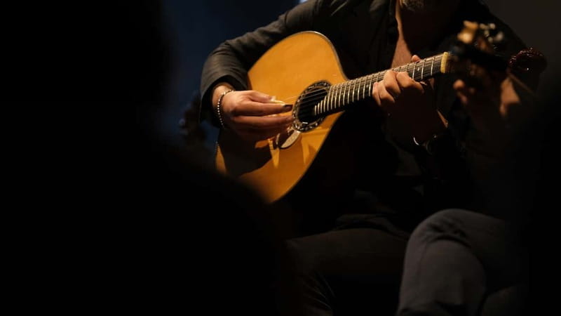 Porto: The highest-rated traditional fado concert (downtown) - Key points to know before you book