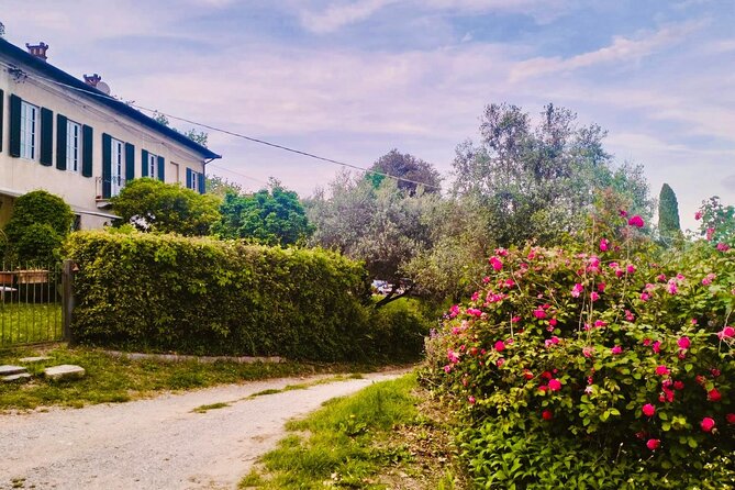 Private Concert in the Artist's House on the Hills of Lucca - Timing, group size, and cancellation terms
