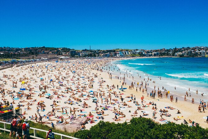 PRIVATE Sydney City Bondi Beach Opera House & Botanic Garden Tour - From Bondi’s sand to the harbour in one day