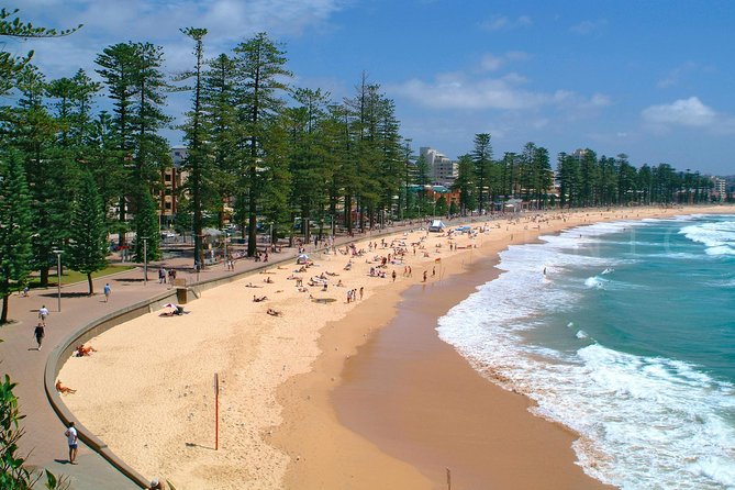 Private Sydney Tour Including Sydney Opera House, Bondi and Manly - Bondi Beach: more than a quick photograph