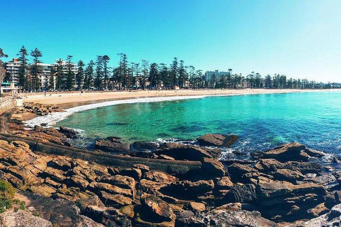 Private Sydney Tour Including Sydney Opera House, Bondi and Manly - Mrs Macquarie’s Chair and the classic harbour view