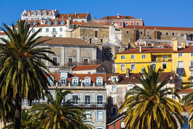 Private tour: Lisbon Fado Dinner Show and Panoramic Night Tour - Key points to know before booking