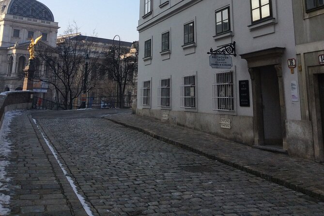 Private Tour of Beethoven's Vienna – Retracing Original Venues with an Expert - Is $229.87 per person a fair price?