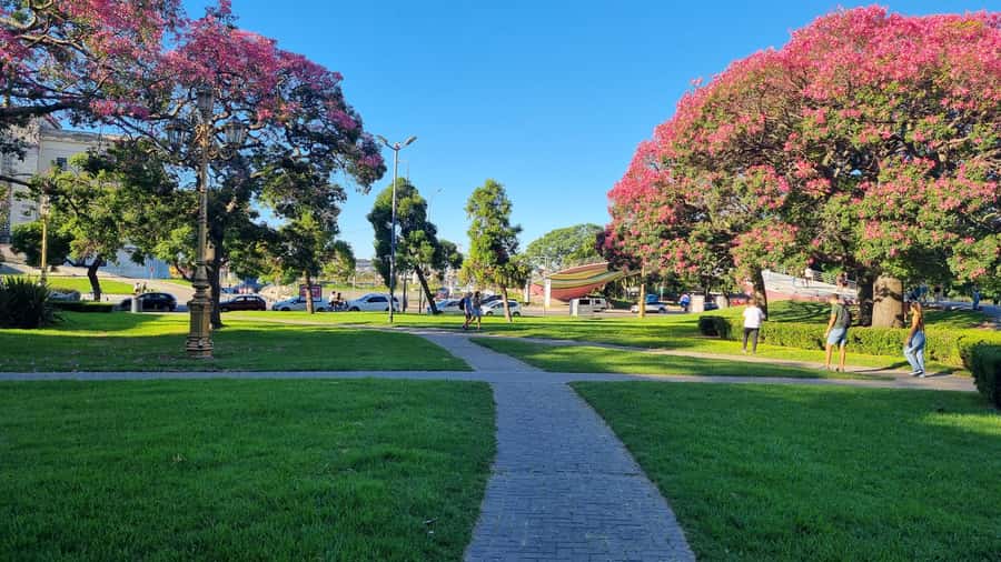 Recoleta Walking Tour and Live Jazz Show - Key points to know before booking