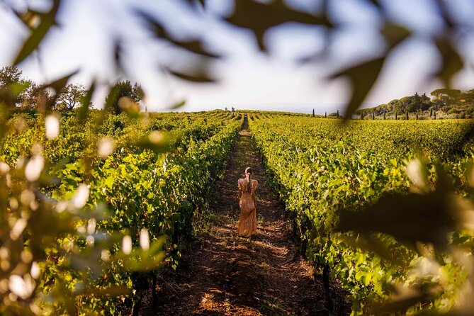 Rome's Vineyard Symphony: Countryside Winetasting Experience - The transportation issue deserves attention