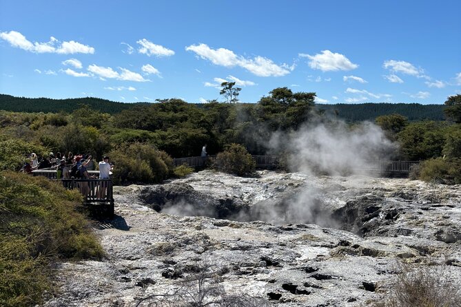 Rotorua: WaiOtapu & Redwood forest & Blues springs from Auckland - Wai-O-Tapu brings the heat