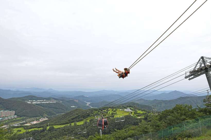 Seoul: Alpaca World, Railbike & Vivaldi Park Experience Tour - FAQ