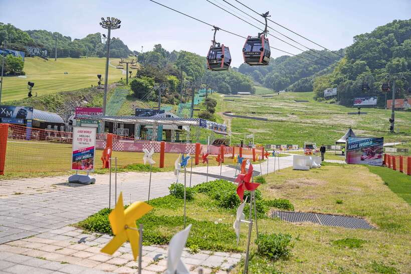 Seoul: Alpaca World, Railbike & Vivaldi Park Experience Tour - Gangchon Railbike: a relaxed ride with real scenery