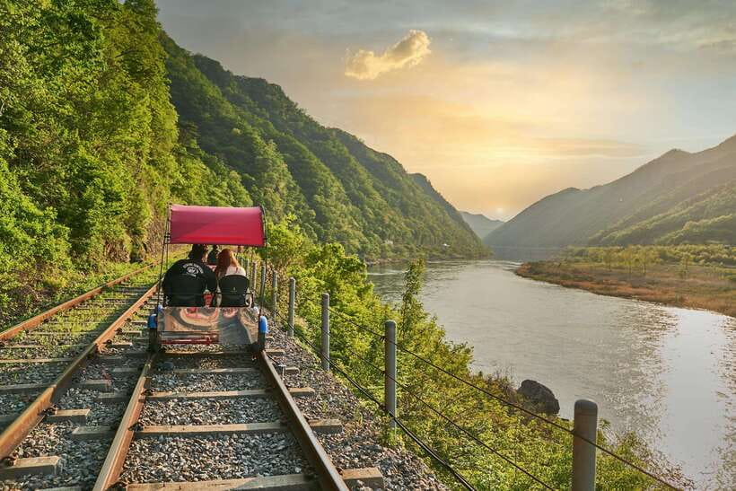 Seoul: Alpaca World, Railbike & Vivaldi Park Experience Tour - Vivaldi Park: choose your own final activity
