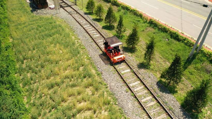 Seoul: Alpaca World, Railbike & Vivaldi Park Experience Tour - Is $86 a fair price?