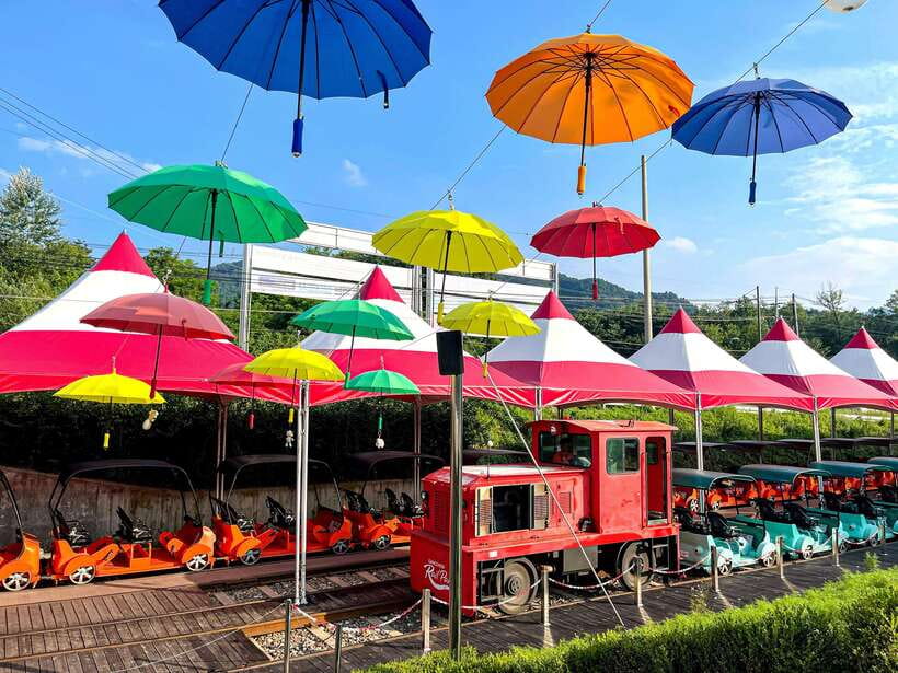 Seoul: Alpaca World, Railbike & Vivaldi Park Experience Tour - The long transport day and practical comfort