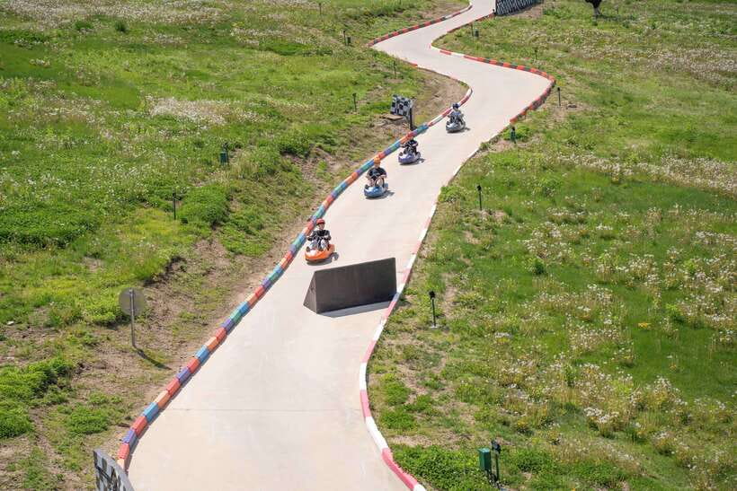 Seoul: Alpaca World, Railbike & Vivaldi Park Experience Tour - Who will enjoy this day most?