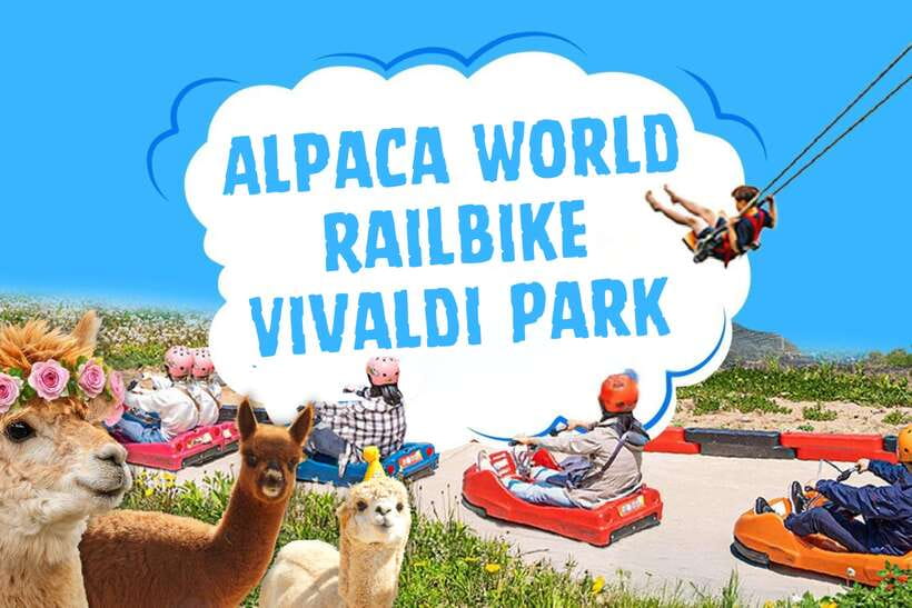 Seoul: Alpaca World, Railbike & Vivaldi Park Experience Tour - Alpaca World: gentle animals and a hilly walk