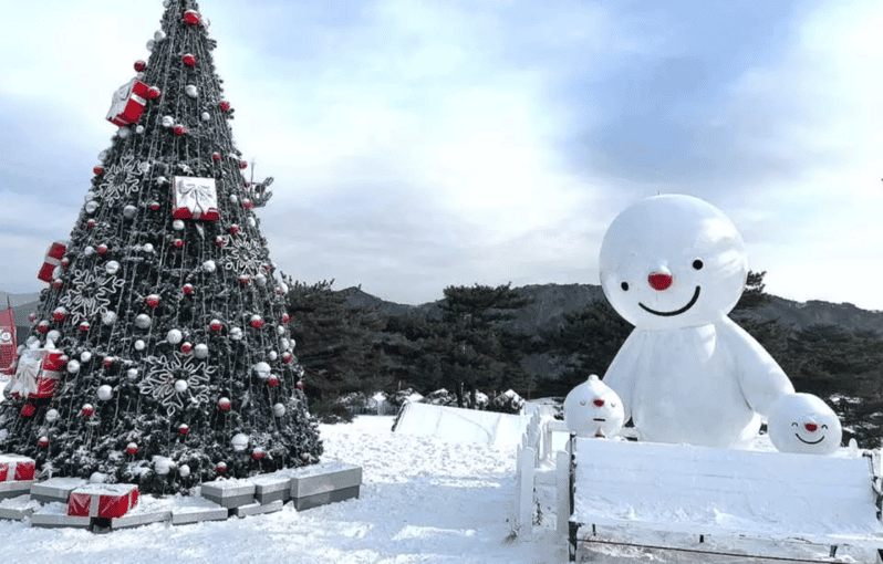 Seoul: SnowyLand in Vivaldi Park with Nami or Alpaca - Key points to know before booking