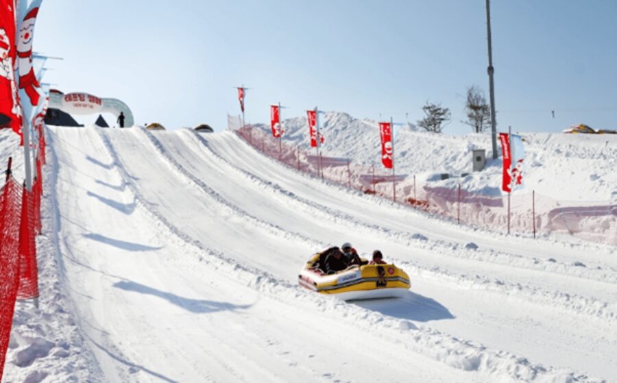 Seoul: SnowyLand in Vivaldi Park with Nami or Alpaca - What this Seoul winter day actually feels like