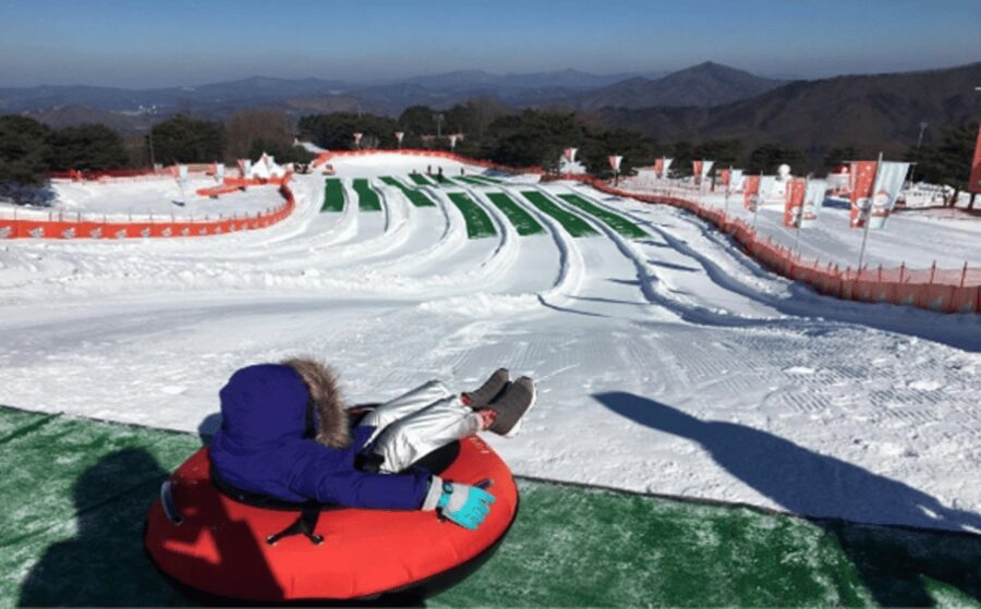 Seoul: SnowyLand in Vivaldi Park with Nami or Alpaca - Snowy Land at Vivaldi Park