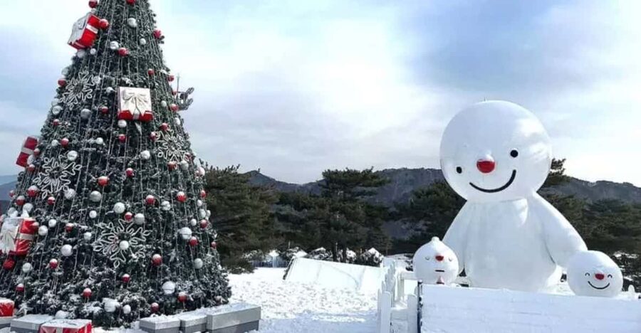 Seoul: SnowyLand in Vivaldi Park with Nami or Alpaca - Who should book this day trip?