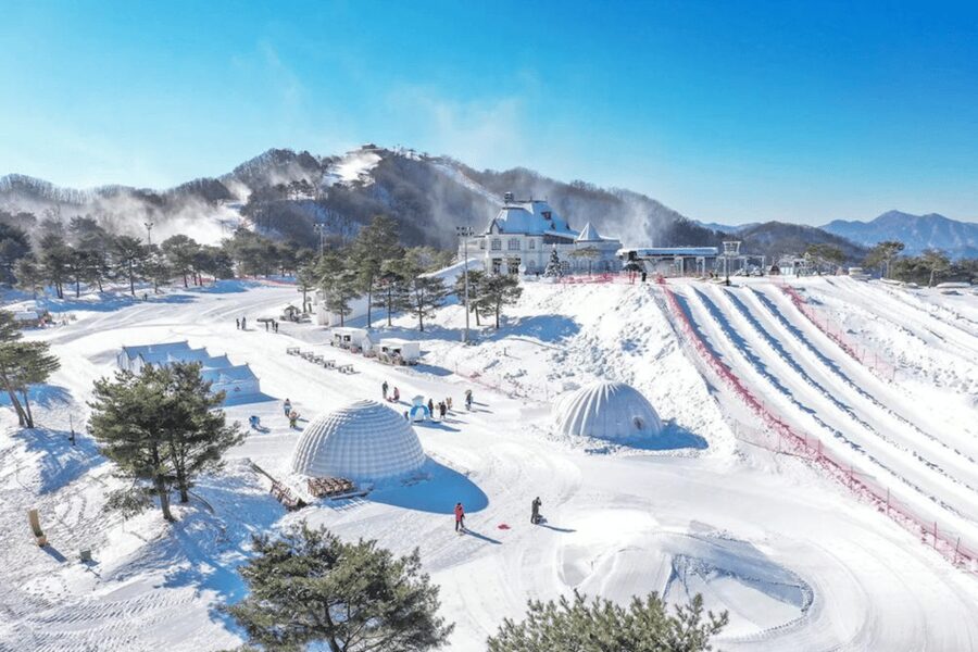 Seoul: SnowyLand in Vivaldi Park with Nami or Alpaca - Practical packing advice for a cold day