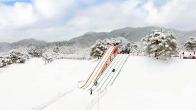 Seoul: Vivaldi Park Winter Ski with Eobi Ice Valley Day Tour
