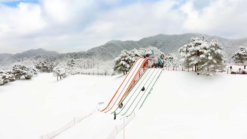 Seoul: Vivaldi Park Winter Ski with Eobi Ice Valley Day Tour - Choose the package by the activity, not just the price