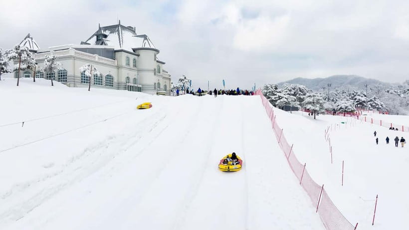 Seoul: Vivaldi Park Winter Ski with Nami Island Day Tour - Why this Seoul winter day works