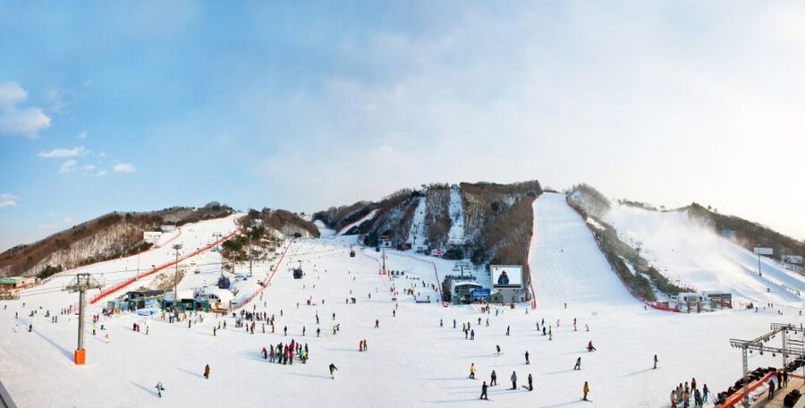 Seoul: Vivaldi Park Winter Ski with Nami Island Day Tour - Four hours at Vivaldi Park Ski World