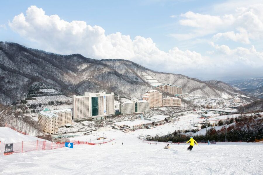 Seoul: Vivaldi Park Winter Ski with Nami Island Day Tour - What the $35 starting price really means