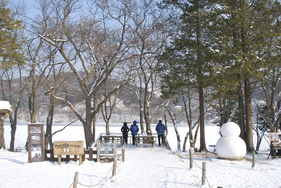 Seoul: Vivaldi Park Winter Ski with Nami Island Day Tour - Getting out of Seoul before the slopes