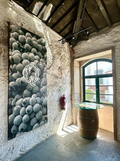 Soul of Portugal: an immersive experience of fado, wine, and tradition - Fado, Portuguese Guitar, and Poetic Stories
