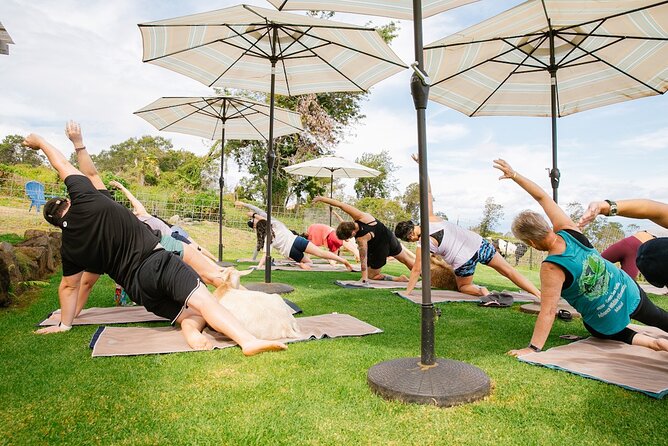 Sunset Maui Goat Yoga with Live Music - Live Hawaiian music and the sunset setting