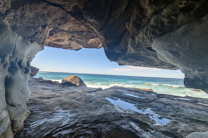 Sydney City Tour | Bondi, Opera House, Bridge & Highlights - Mrs Macquarie’s Chair frames Sydney’s famous skyline