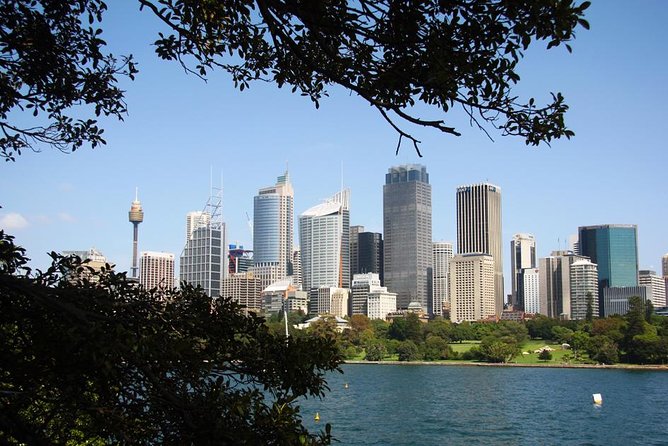 Sydney Half Day Private Tour: See Sydney Opera House and Bondi - Key points to know before booking