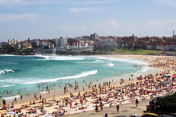 Sydney Half Day Private Tour: See Sydney Opera House and Bondi - Mrs Macquarie’s Chair delivers the classic view