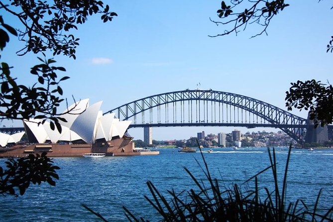 Sydney Half Day Private Tour: See Sydney Opera House and Bondi - The Rocks and Circular Quay set the scene