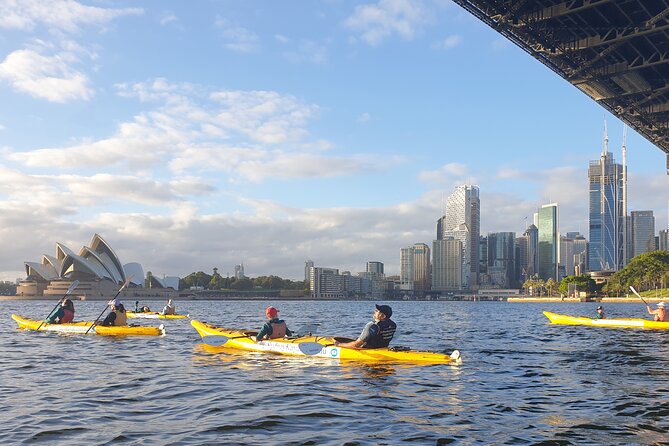 Sydney LED Lit Kayak Tour of the Opera House and Bridge - Who will enjoy this most