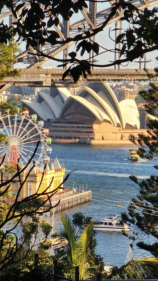 Sydney: Opera & Harbour Bridge Small-Group Kayak Tour - Getting set at Lavender Bay