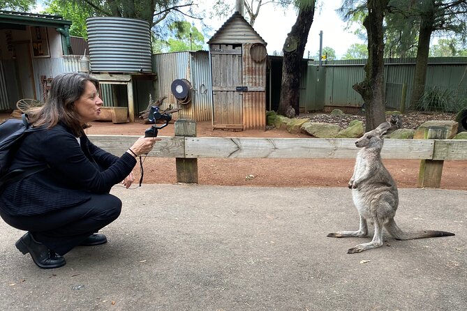 Sydney Opera House and Aussie Animals Private Tour - Key points to know before booking