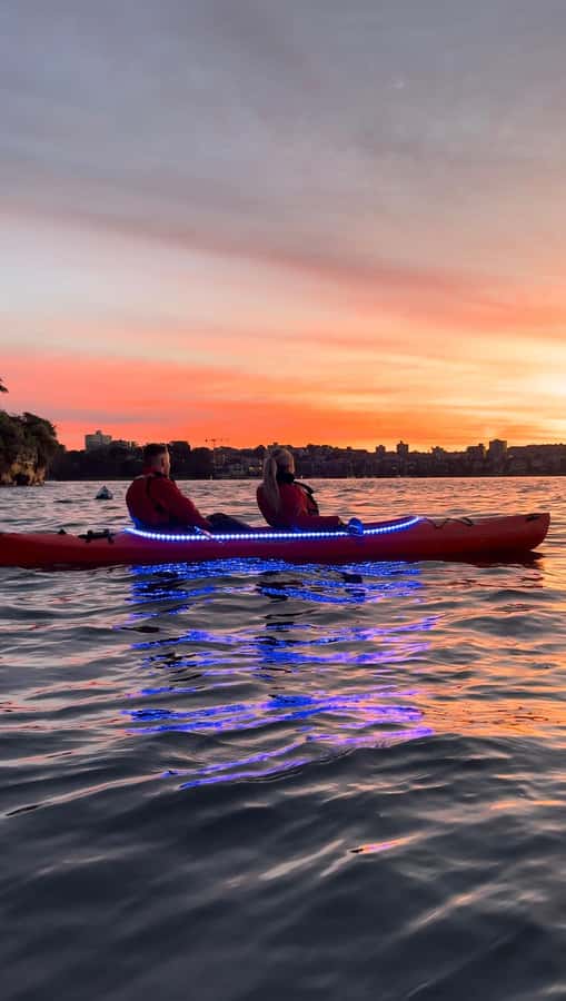 Sydney: Sunrise Kayak, Opera House & Under Harbour Bridge - LED kayaks and the early-morning mood
