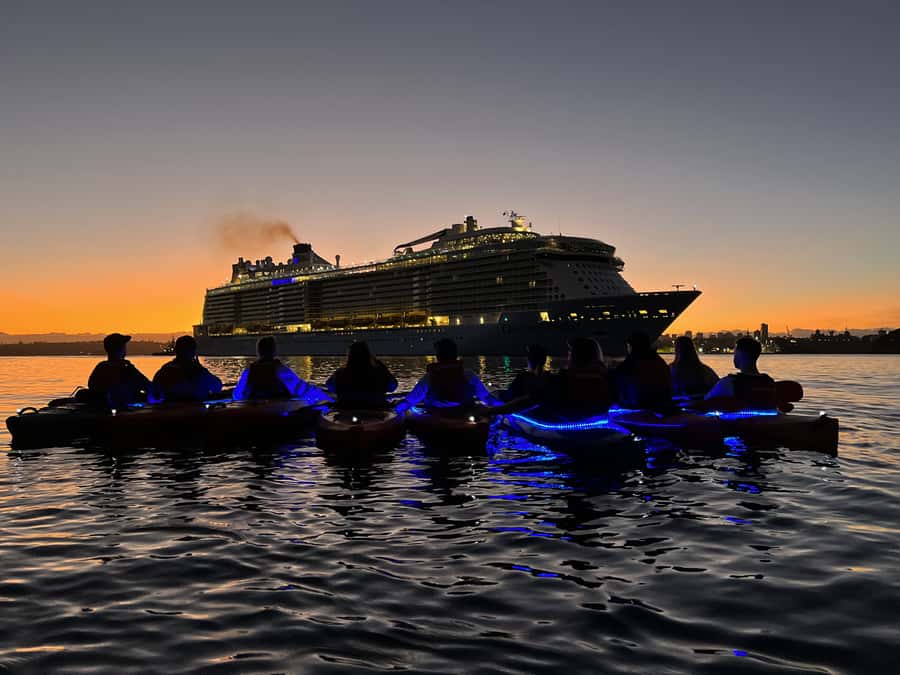 Sydney: Sunrise Kayak, Opera House & Under Harbour Bridge - Who should book this harbour experience?