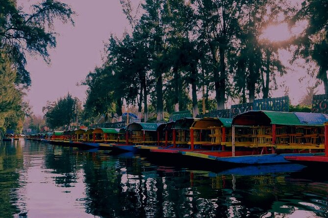 Trajinera Party at Xochimilco with Drinks, Mariachi & Snacks - Snacks, tacos, and what to expect from the food