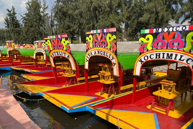 Trajinera Party at Xochimilco with Drinks, Mariachi & Snacks - Weather, age rules, and practical preparation