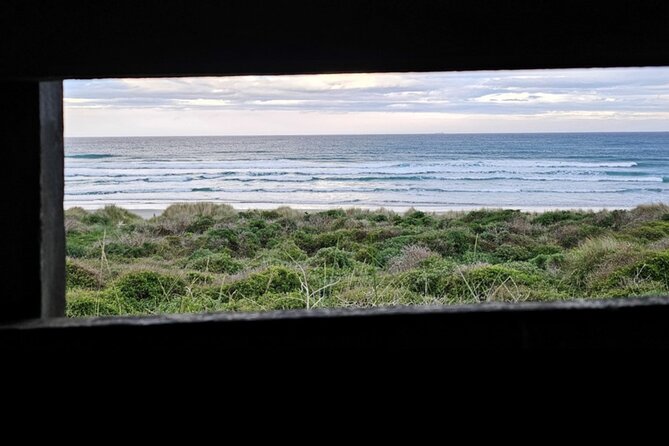 Twilight at the Opera - How the 90 minutes fits into a Dunedin itinerary