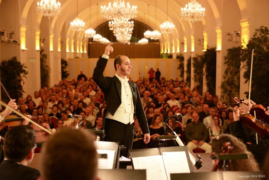 Vienna: After-Hours Schönbrunn Palace Entry & Concert Ticket - Who should book this evening