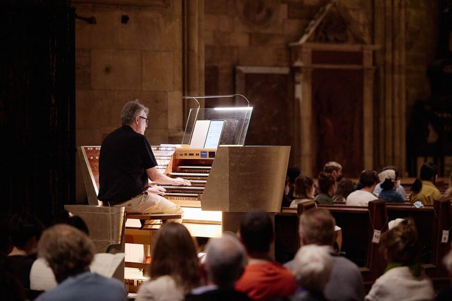 Vienna: Classical Concert at St. Stephen's Cathedral - Acoustics, lighting, and the music itself