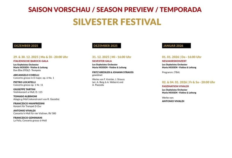 Vienna: Classical Concerts in the Minorite Church Ticket - How the music feels from inside a church
